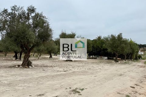 Farm i Coruche, Santarem, Coruche - € 360.000 | Ref: MAS_781 - foto 41