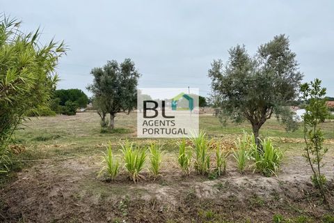 Farm i Coruche, Santarem, Coruche - € 360.000 | Ref: MAS_781 - foto 44