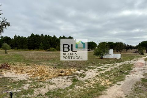 Farm i Coruche, Santarem, Coruche - € 360.000 | Ref: MAS_781 - foto 45