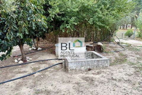 Farm i Coruche, Santarem, Coruche - € 360.000 | Ref: MAS_781 - foto 47