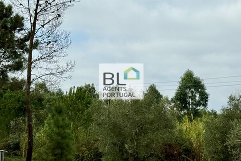 Farm i Coruche, Santarem, Coruche - € 360.000 | Ref: MAS_781 - foto 48