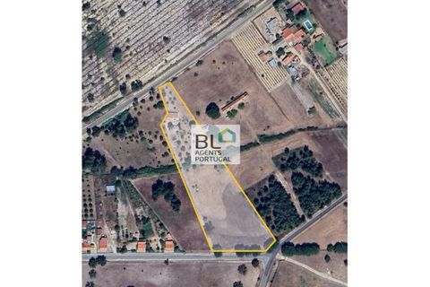 Farm i Coruche, Santarem, Coruche - € 360.000 | Ref: MAS_781 - foto 49