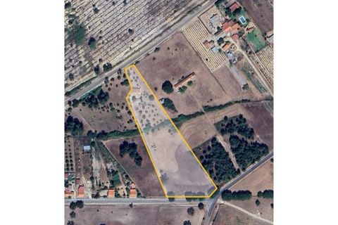 Farm i Coruche, Santarem, Coruche - € 360.000 | Ref: MAS_781 - foto 50