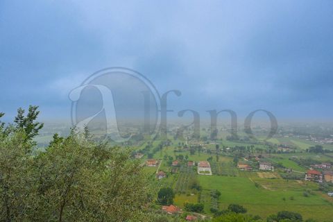 Villa a Roccasecca, Frosinone, Roccasecca - € 65.000 | Ref: AC99-149-1129 - foto 27