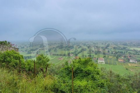 Villa a Roccasecca, Frosinone, Roccasecca - € 65.000 | Ref: AC99-149-1129 - foto 28