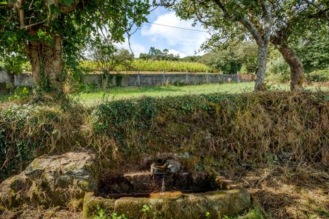 Landejendom i Lalin, Pontevedra, Lalin - € 395.000 | Ref: 2627 - foto 31