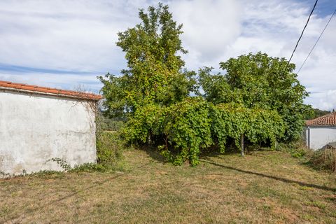 Landejendom i Lalin, Pontevedra, Lalin - € 395.000 | Ref: 2627 - foto 32