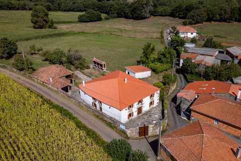 Landejendom i Lalin, Pontevedra, Lalin - € 395.000 | Ref: 2627 - foto 41