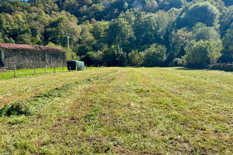 Terra a La Pedrosa, Cantabria, La Pedrosa - € 69.000 | Ref: EXP11540/8930 - foto 5