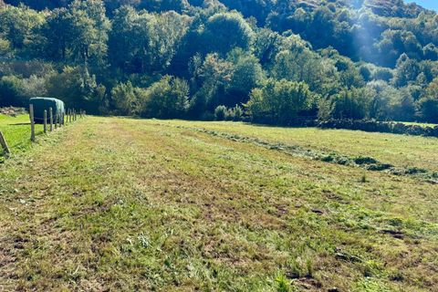 Terra a La Pedrosa, Cantabria, La Pedrosa - € 69.000 | Ref: EXP11540/8930 - foto 7