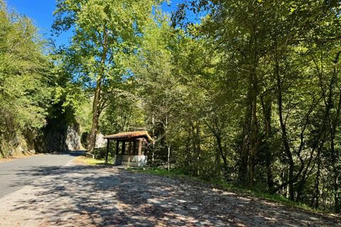 Terra a La Pedrosa, Cantabria, La Pedrosa - € 69.000 | Ref: EXP11540/8930 - foto 8