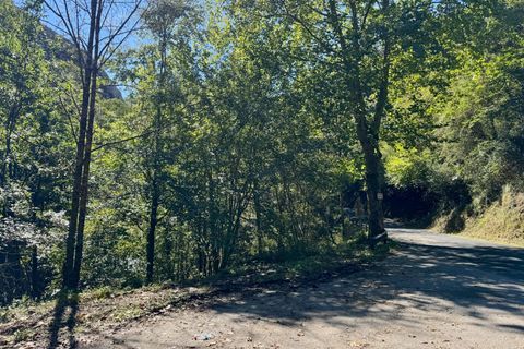 Terra a La Pedrosa, Cantabria, La Pedrosa - € 69.000 | Ref: EXP11540/8930 - foto 9