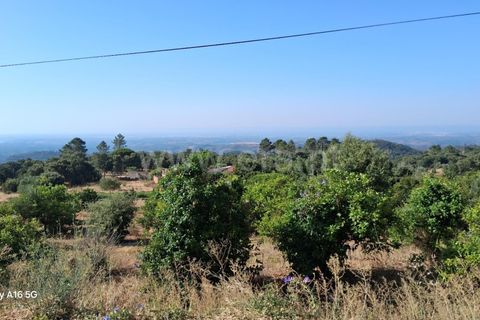 Villa i Monchique, Faro, Monchique - € 350.000 | Ref: 359250271 - foto 12