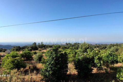 Villa i Monchique, Faro, Monchique - € 350.000 | Ref: 359250271 - foto 15