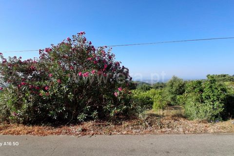 Villa i Monchique, Faro, Monchique - € 350.000 | Ref: 359250271 - foto 17