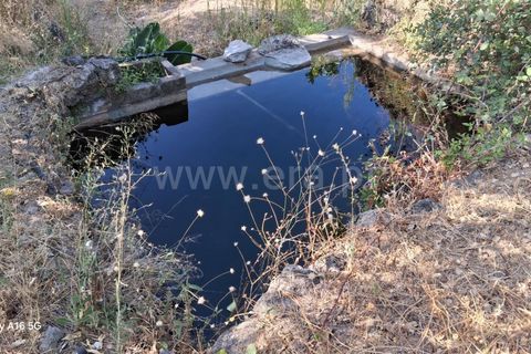 Villa i Monchique, Faro, Monchique - € 350.000 | Ref: 359250271 - foto 19