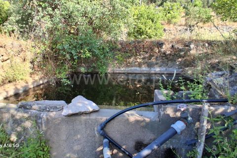 Villa i Monchique, Faro, Monchique - € 350.000 | Ref: 359250271 - foto 21