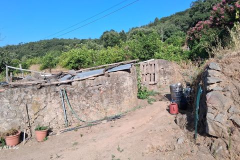 Villa i Monchique, Faro, Monchique - € 350.000 | Ref: 359250271 - foto 23