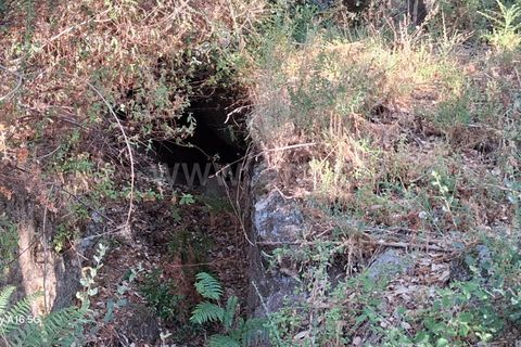 Villa i Monchique, Faro, Monchique - € 350.000 | Ref: 359250271 - foto 24