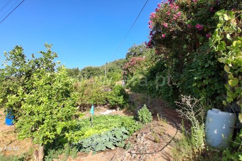 Villa i Monchique, Faro, Monchique - € 350.000 | Ref: 359250271 - foto 25