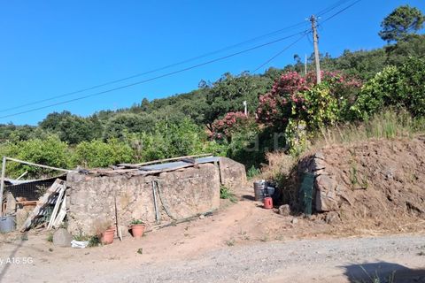 Villa i Monchique, Faro, Monchique - € 350.000 | Ref: 359250271 - foto 28