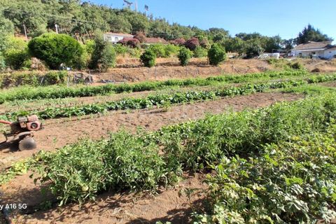 Villa i Monchique, Faro, Monchique - € 350.000 | Ref: 359250271 - foto 26