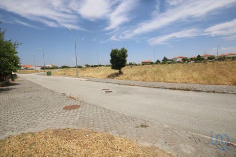 Terra a Almeida, Guarda, Almeida - € 30.600 | Ref: 148958 - foto 3