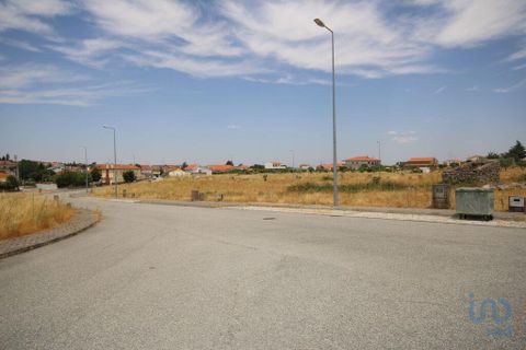 Terra a Almeida, Guarda, Almeida - € 30.600 | Ref: 148958 - foto 8