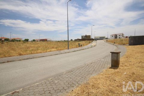 Terra a Almeida, Guarda, Almeida - € 30.550 | Ref: 148930 - foto 5