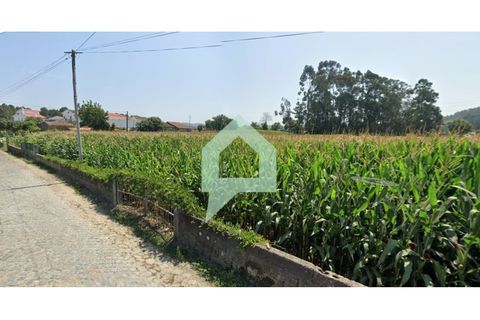 Helårsgrund i Barcelos, Braga, Barcelos - € 107.000 | Ref: TER_3485 - foto 3