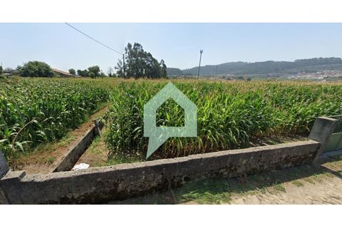 Helårsgrund i Barcelos, Braga, Barcelos - € 107.000 | Ref: TER_3485 - foto 4