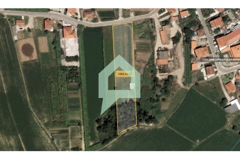 Helårsgrund i Barcelos, Braga, Barcelos - € 107.000 | Ref: TER_3485 - foto 5