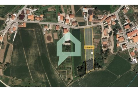 Helårsgrund i Barcelos, Braga, Barcelos - € 107.000 | Ref: TER_3485 - foto 6