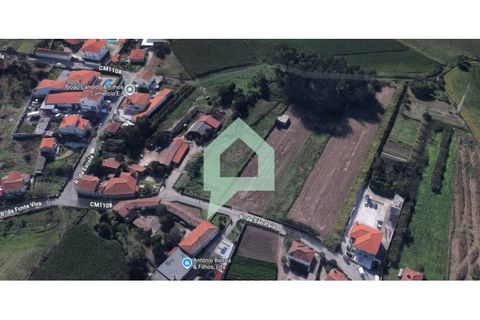 Helårsgrund i Barcelos, Braga, Barcelos - € 107.000 | Ref: TER_3485 - foto 7