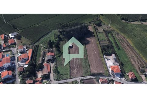 Helårsgrund i Barcelos, Braga, Barcelos - € 107.000 | Ref: TER_3485 - foto 9