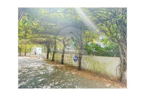 Lejlighed i Setubal, Setubal, Setubal - € 390.000 | Ref: QRHR1964 - foto 7