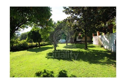 Farm i Orjais, Castelo Branco, Orjais - € 850.000 | Ref: QRJD2207 - foto 6