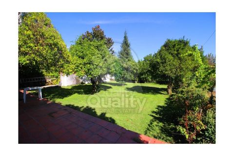 Farm i Orjais, Castelo Branco, Orjais - € 850.000 | Ref: QRJD2207 - foto 7
