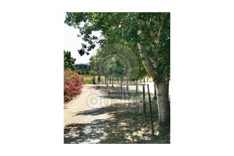 Farm i Orjais, Castelo Branco, Orjais - € 850.000 | Ref: QRJD2207 - foto 8
