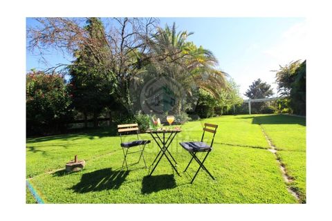 Farm i Orjais, Castelo Branco, Orjais - € 850.000 | Ref: QRJD2207 - foto 10