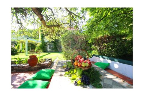 Farm i Orjais, Castelo Branco, Orjais - € 850.000 | Ref: QRJD2207 - foto 11