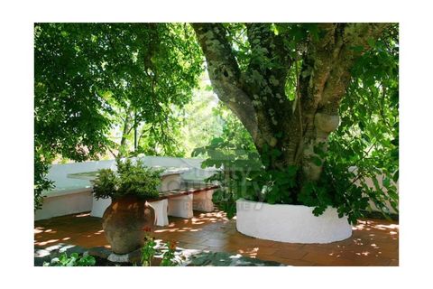 Farm i Orjais, Castelo Branco, Orjais - € 850.000 | Ref: QRJD2207 - foto 12