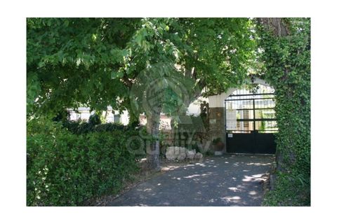 Farm i Orjais, Castelo Branco, Orjais - € 850.000 | Ref: QRJD2207 - foto 36