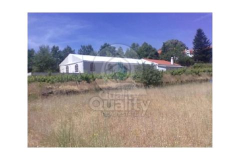 Farm i Orjais, Castelo Branco, Orjais - € 850.000 | Ref: QRJD2207 - foto 37