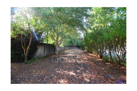 Farm i Orjais, Castelo Branco, Orjais - € 850.000 | Ref: QRJD2207 - foto 40