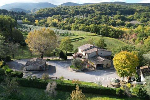 Farm hus i Cetona, Siena, Cetona - € 695.000 | Ref: CET2020-606140 - foto 6