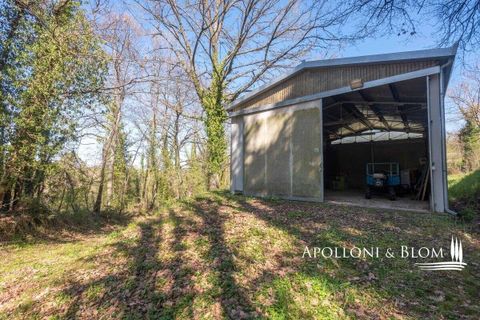 Farm hus i Cetona, Siena, Cetona - € 695.000 | Ref: CET2020-606140 - foto 47