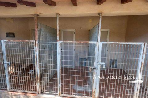 Farm hus i Cetona, Siena, Cetona - € 695.000 | Ref: CET2020-606140 - foto 50
