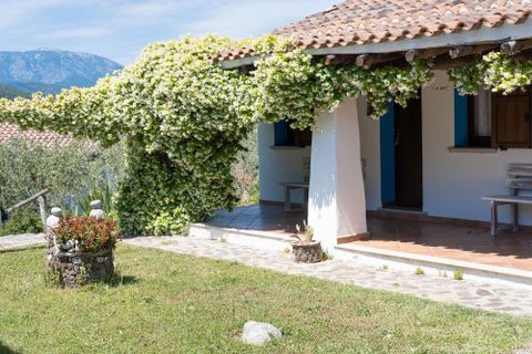 Landejendom i Galtelli, Nuoro, Galtelli - € 1.990.000 | Ref: SRD3182-606298 - foto 3