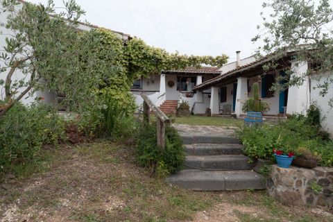 Landejendom i Galtelli, Nuoro, Galtelli - € 1.990.000 | Ref: SRD3182-606298 - foto 25